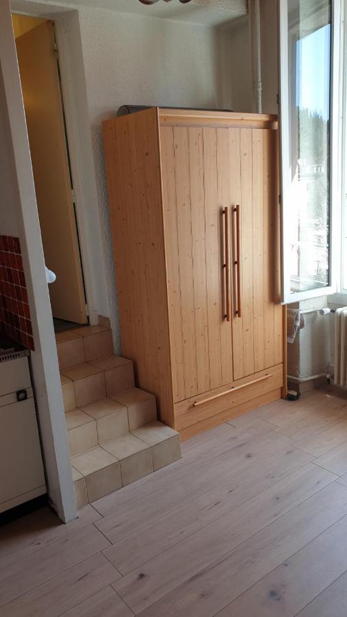 Joli Studio Chamechaude Сен-Пьер-де-Шартрёз Экстерьер фото